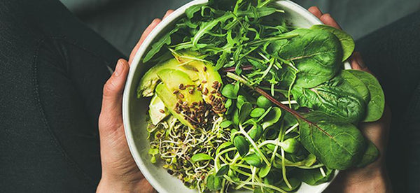 Vegan and Whole-food Plant-based Diets—What’s the Difference? - Performance Kitchen